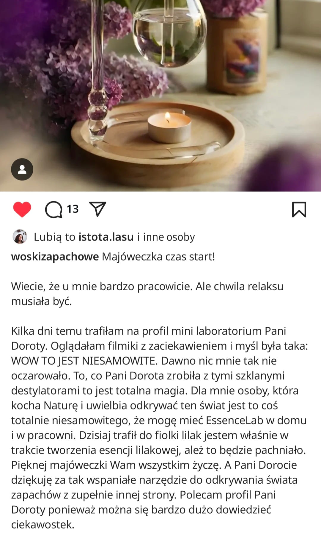 opinie Dorota